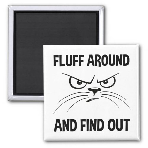 Fluff Around And Find Out Magnet