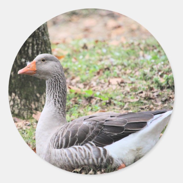 Fluff Classic Round Sticker (Front)