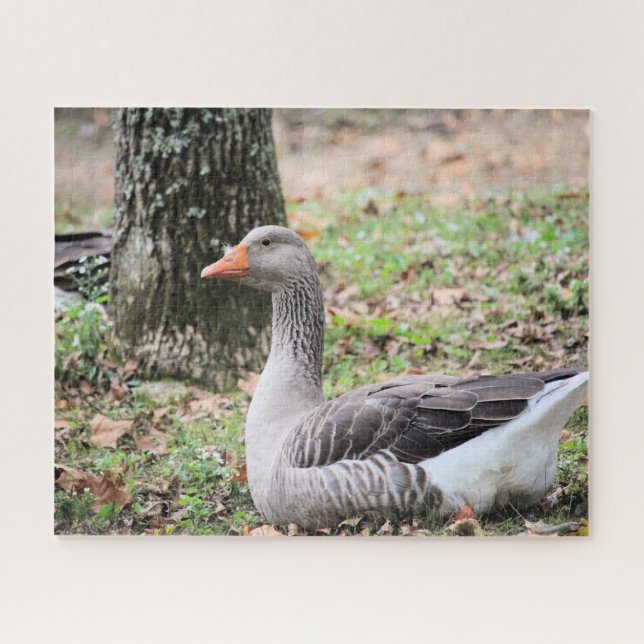 Fluff Jigsaw Puzzle (Horizontal)