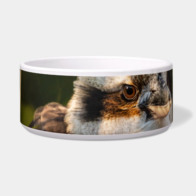 Fluffed up laughing kookaburra bowl (Front)