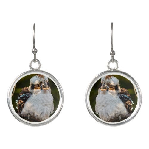 Fluffed up laughing kookaburra earrings