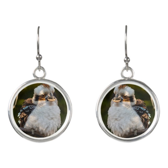 Fluffed up laughing kookaburra earrings (Front)