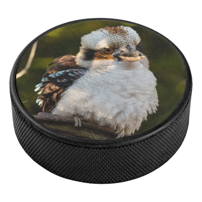 Fluffed up laughing kookaburra hockey puck (3/4)