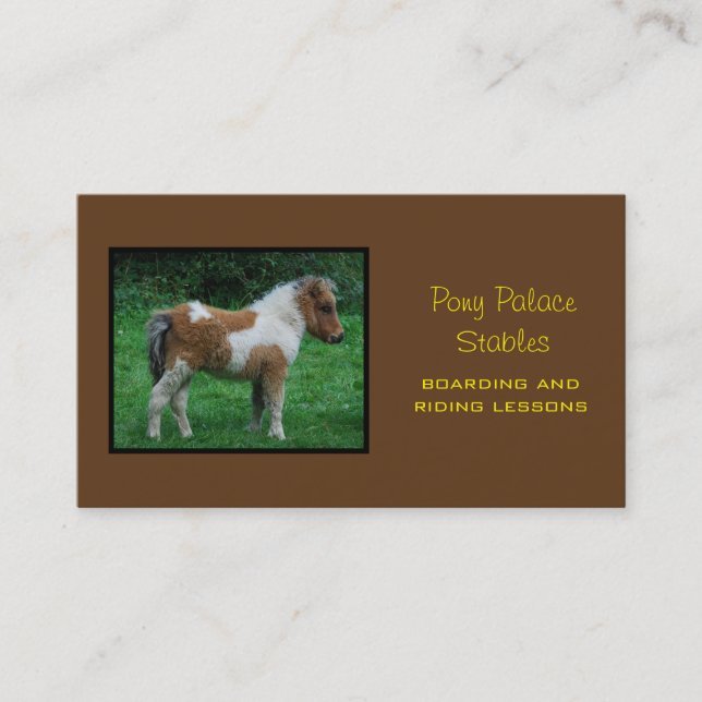 Fluffy Adorable Dartmoor Pony Business Card (Front)