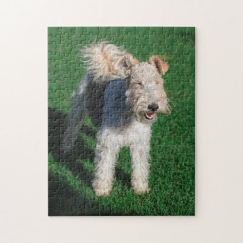 Fluffy Airedale Welsh Terrier Type Dog Puppy Jigsaw Puzzle