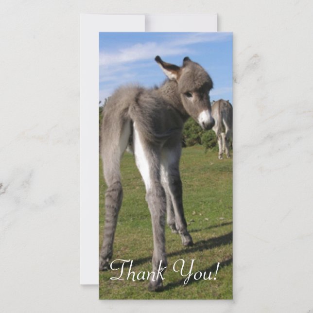 Fluffy Baby Donkey With Mama Thank You Card (Front)