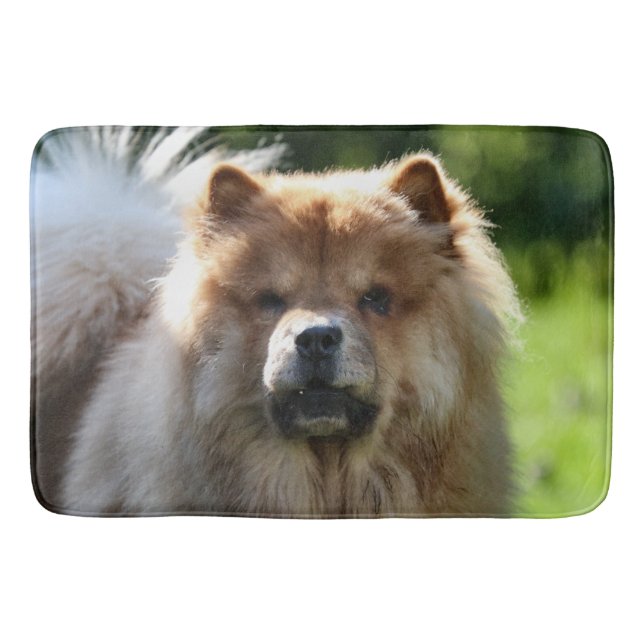 Fluffy Bathroom Mat (Front)