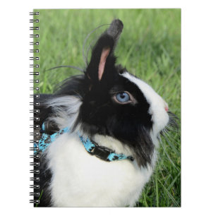 Fluffy Black and White Lionhead Bunny Rabbit Notebook