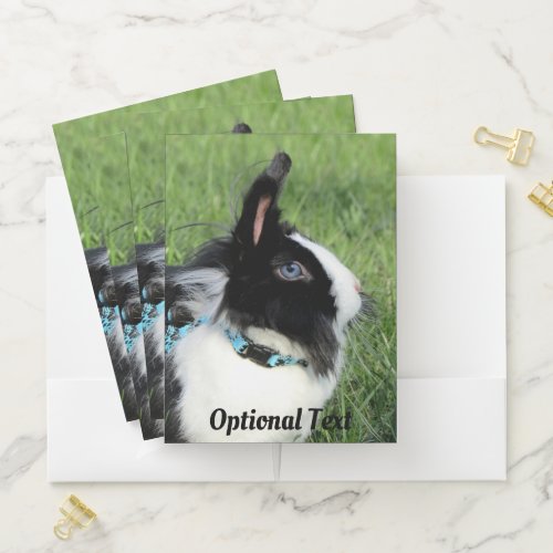 Fluffy Black and White Lionhead Bunny Rabbit Pocket Folder