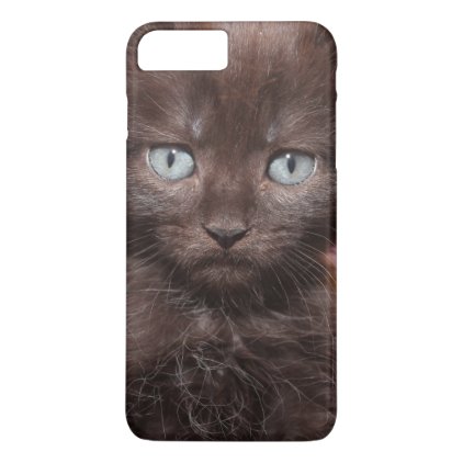 FLUFFY BLACK KITTEN IPHONE CASE