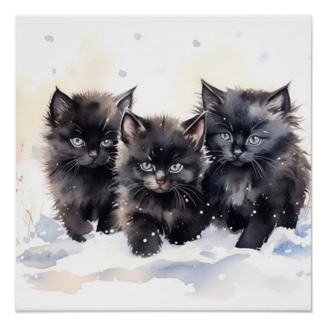 Fluffy Black Kittens Poster (Front)