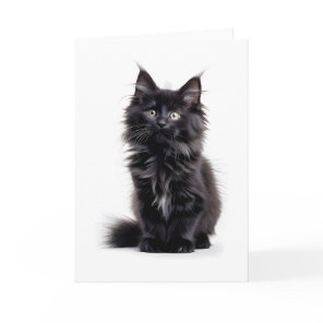 Fluffy Black Long-Haired Cat Blank Greeting Card