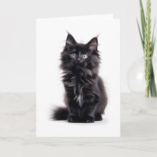 Fluffy Black Long_Haired Cat Blank Greeting Card