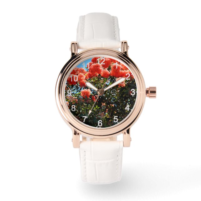 Fluffy Blooms: Orange Eucalyptus Flower Tree, Watch (Front)
