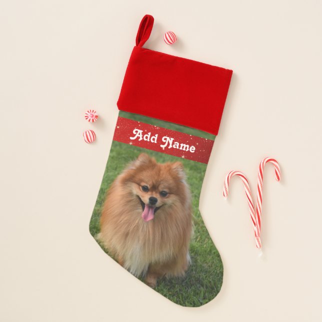 Fluffy Brown Pomeranian Puppy Dog Christmas Stocking (Front)