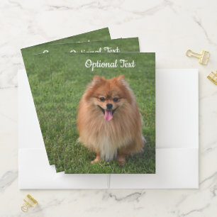 Fluffy Brown Pomeranian Puppy Dog Pocket Folder