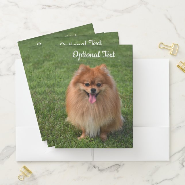 Fluffy Brown Pomeranian Puppy Dog Pocket Folder (In Situ)