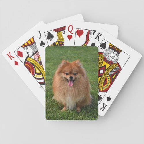 Fluffy Brown Pomeranian Puppy Dog Poker Cards