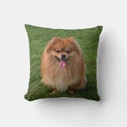 Fluffy Brown Pomeranian Puppy Dog Throw Pillow