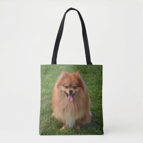 Fluffy Brown Pomeranian Puppy Dog Tote Bag