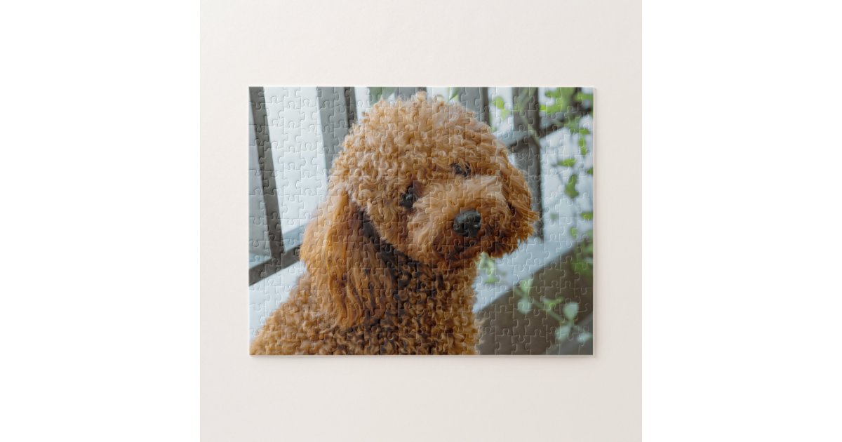 Brown puppy - Jigsaw Puzzle