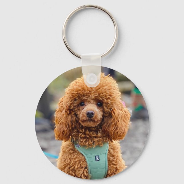 Fluffy Brown Poodle Puppy Dog Keychain (Front)