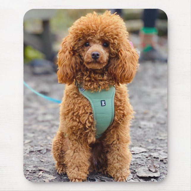 Fluffy Brown Poodle Puppy Dog Mouse Pad (Front)