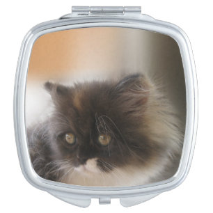 Fluffy Calico Kitten Photo Cute Compact Mirror