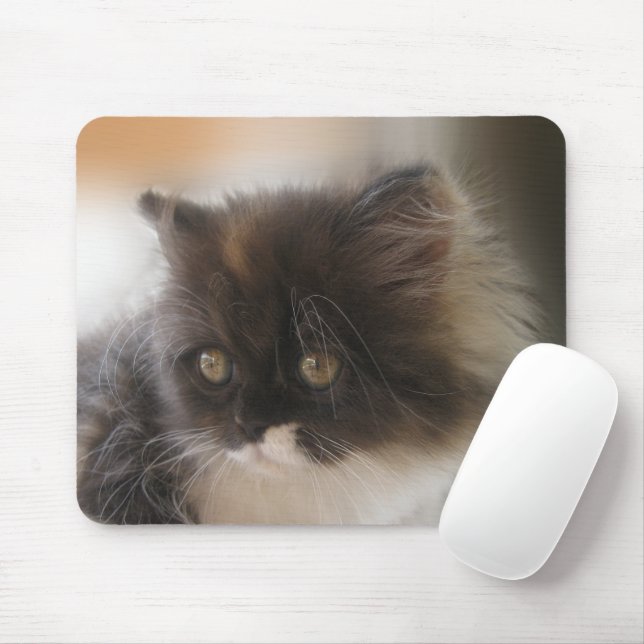 Fluffy Calico Kitten Photo Cute Mouse Pad (With Mouse)