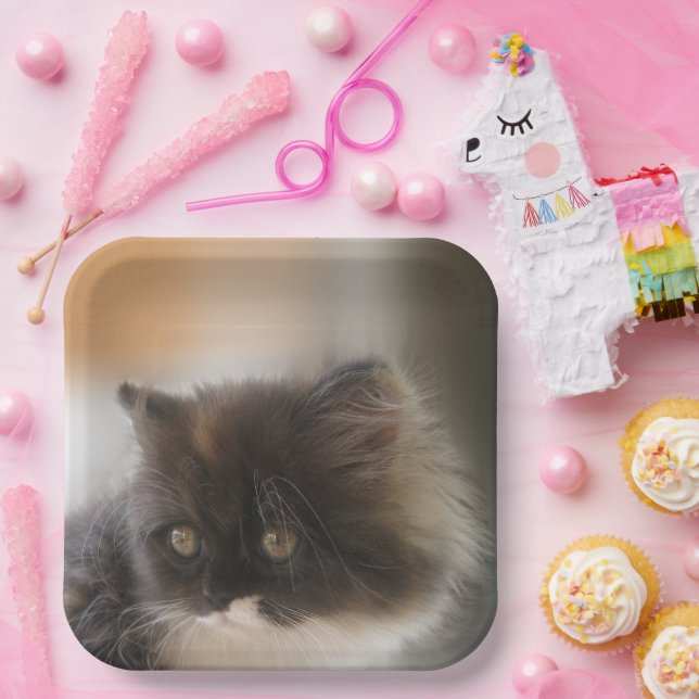Fluffy Calico Kitten Photo Cute Paper Plates (Party)