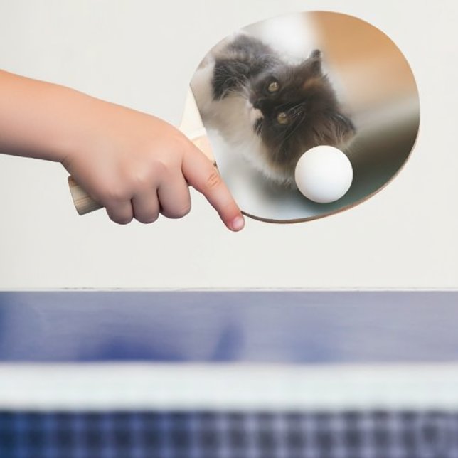 Fluffy Calico Kitten Photo Cute Ping Pong Paddle (Fluffy Calico Kitten Photo Cute Ping Pong Paddle
)