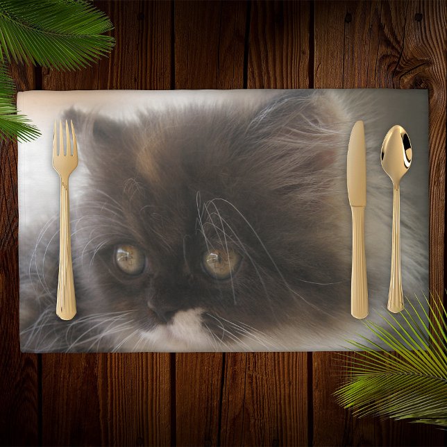 Fluffy Calico Kitten Photo Cute Placemat (Creator Uploaded)