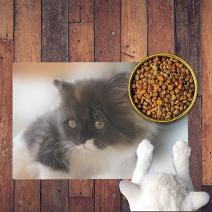 Fluffy Calico Kitten Photo Cute Placemat