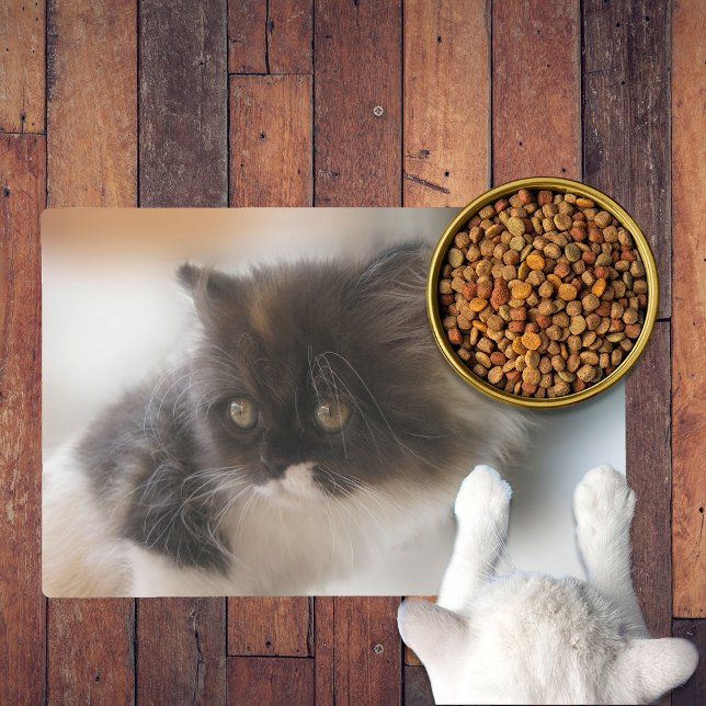 Fluffy Calico Kitten Photo Cute Placemat (Creator Uploaded)