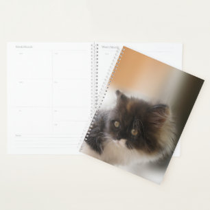 Fluffy Calico Kitten Photo Cute Planner
