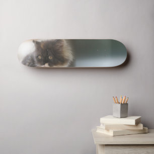 Fluffy Calico Kitten Photo Cute Skateboard