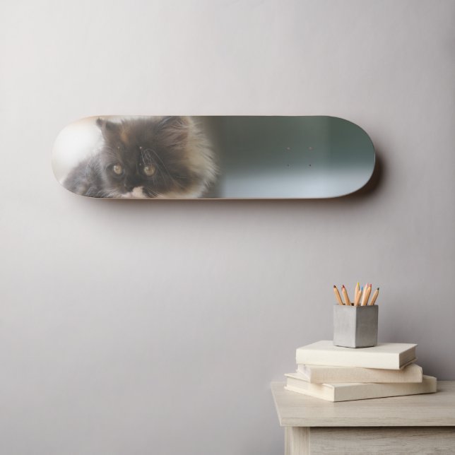 Fluffy Calico Kitten Photo Cute Skateboard (Wall Art (Horz))