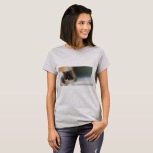Fluffy Calico Kitten Photo Cute T-Shirt