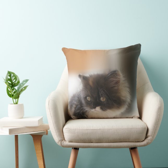 Fluffy Calico Kitten Photo Cute Throw Pillow (Chair)