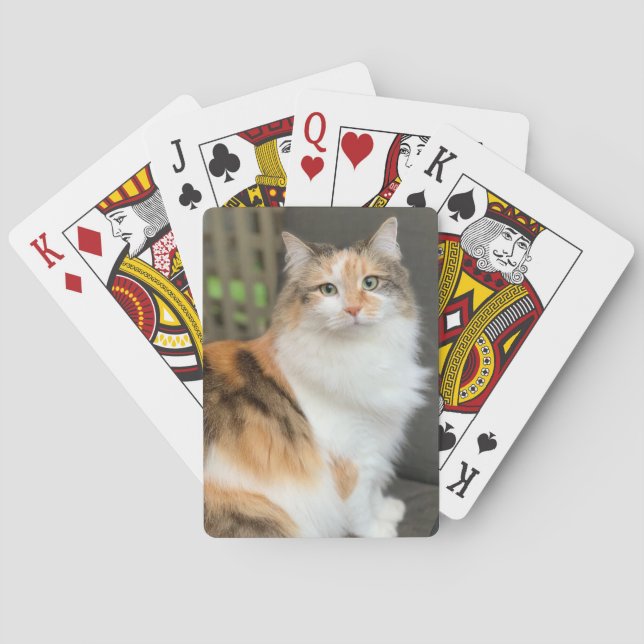 Fluffy Calico Kitty Cat Poker Cards (Back)