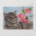 Fluffy Cat and 3 Pink Roses Postcard