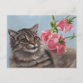 Fluffy Cat And 3 Pink Roses Postcard by KMCoriginals at Zazzle