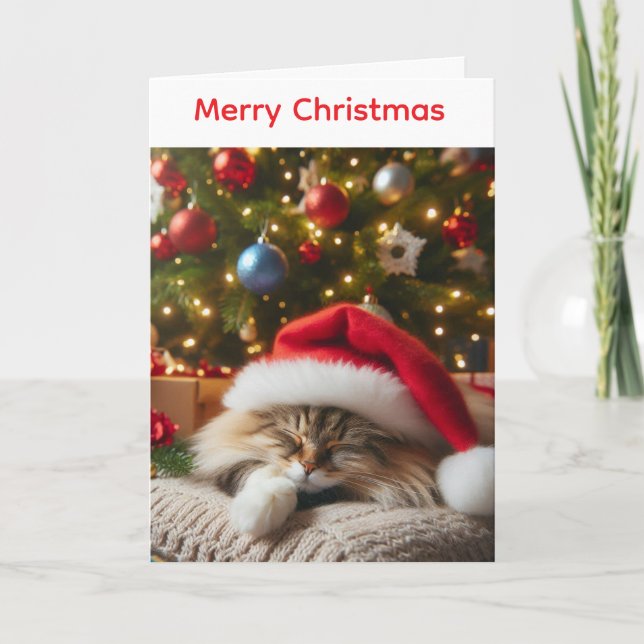 Fluffy cat christmas card (Front)