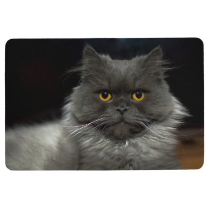 Fluffy cat floor mat