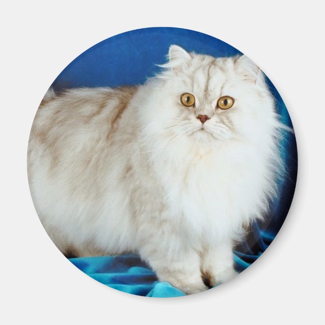 Fluffy Cat Magnet (Front)