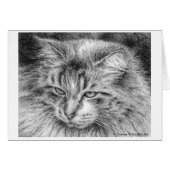 Fluffy Cat Portrait Pen and Ink Drawing Card (Front Horizontal)