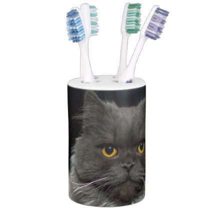 Fluffy cat soap dispenser and toothbrush holder