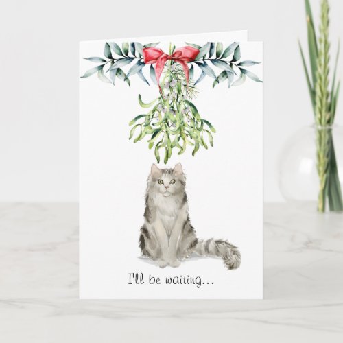 Fluffy Cat Under the Mistletoe Christmas Card