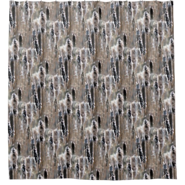 Fluffy Cattails Nature Pattern  Shower Curtain (Front)