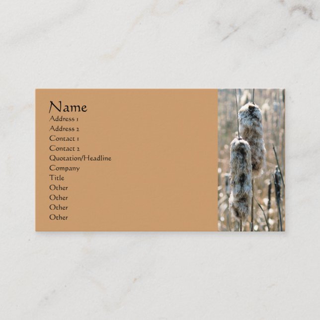 Fluffy Cattails Nature Photography Business Card (Front)